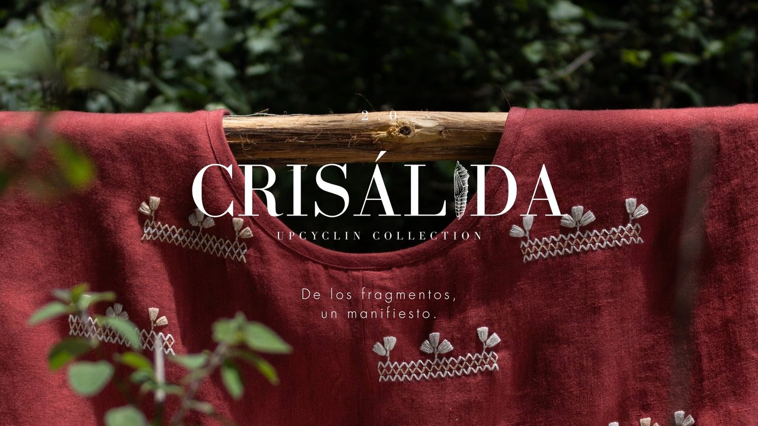 CRISÁLIDA: Segunda entrega